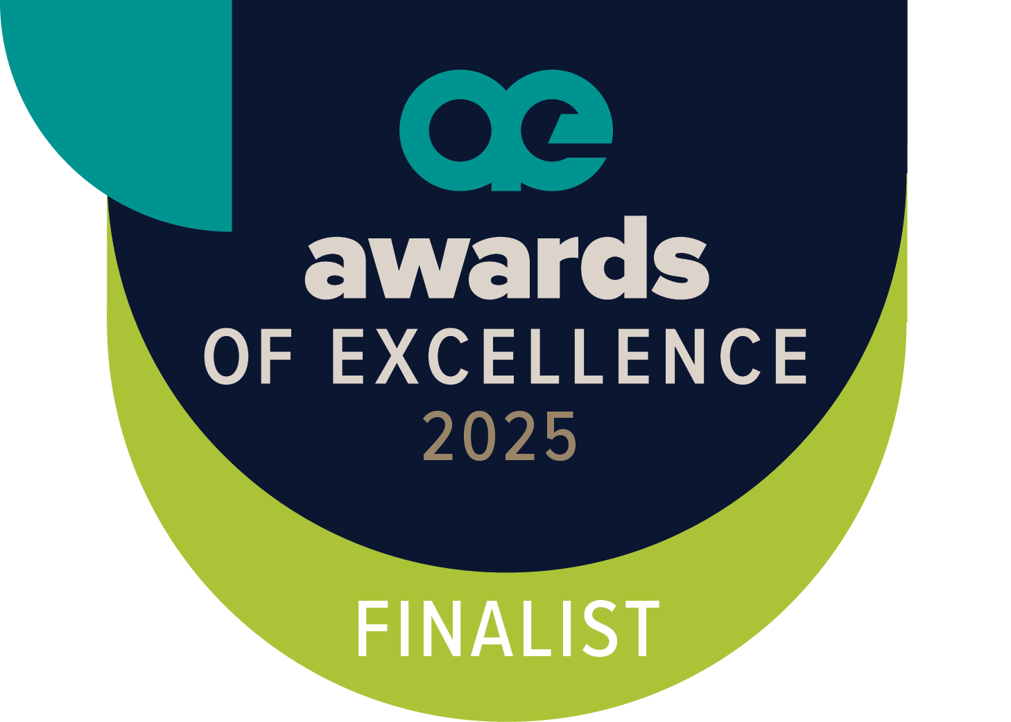 2025 awards of excellence finalist