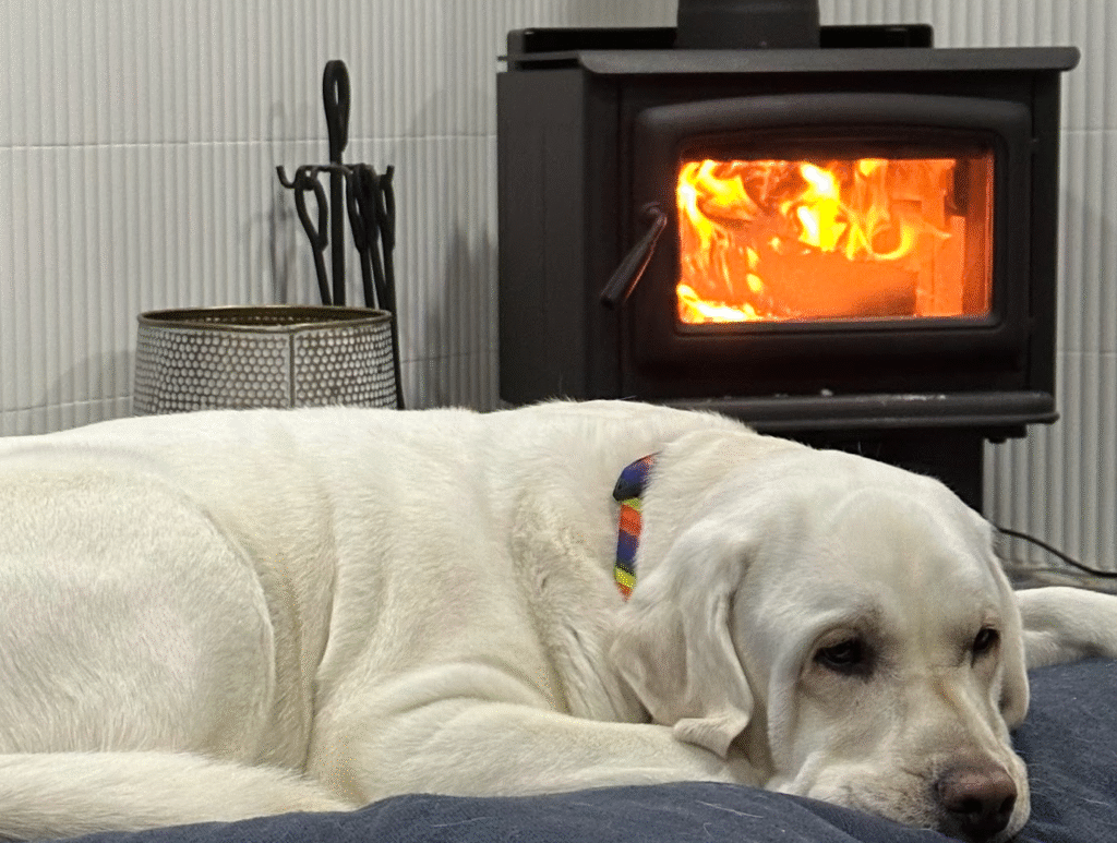 edmonton fireplace renovation