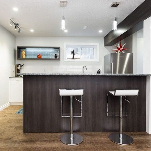 Riverdale basement reno